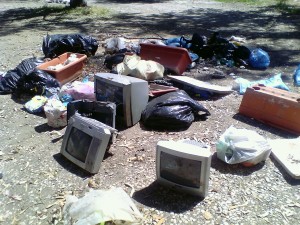 I rifiuti trovati durante la pulizia del parco degli Eucaliptus.